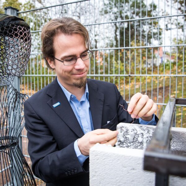palm_arbeit (2)